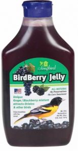 Oriole BirdBerry Jelly - Double JB Feeds