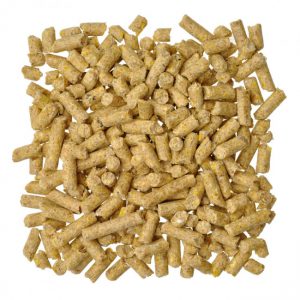 Layer and Poultry Pellets - Double JB Feeds