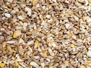 Poultry Scratch Grain - Double JB Feeds