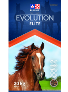 Evolution Elite - Double JB Feeds