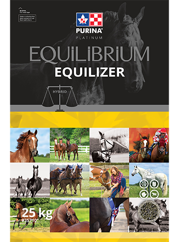 Equilibrium Equilizer - Double JB Feeds