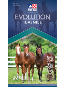 Evolution Juvenile - Double JB Feeds