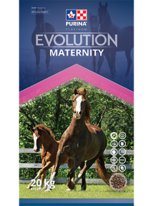 Evolution Maternity - Double JB Feeds