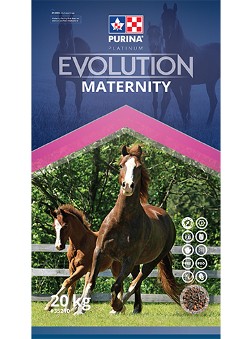 Evolution Maternity - Double JB Feeds