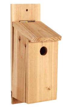 Wood Birdhouse DIY Kit - Double JB Feeds