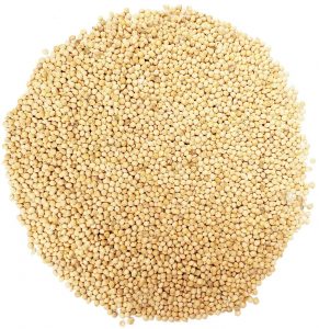 White Millet - Double JB Feeds
