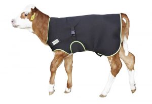 Calf Coat - Double JB Feeds